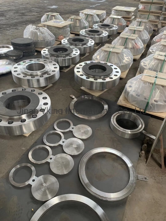 Hot Sale 304 Stainless Steel Forged Pipe/Plate Fitting Floor Slip on/Ring/Blind Dn 100 Flange