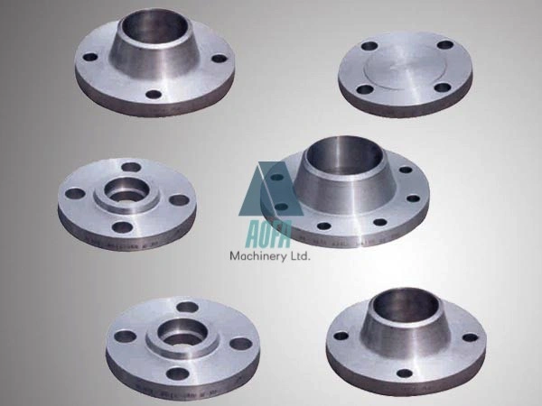 Pipe Fitting Forged Butt Welding Neck Blind Flange with DIN Standard