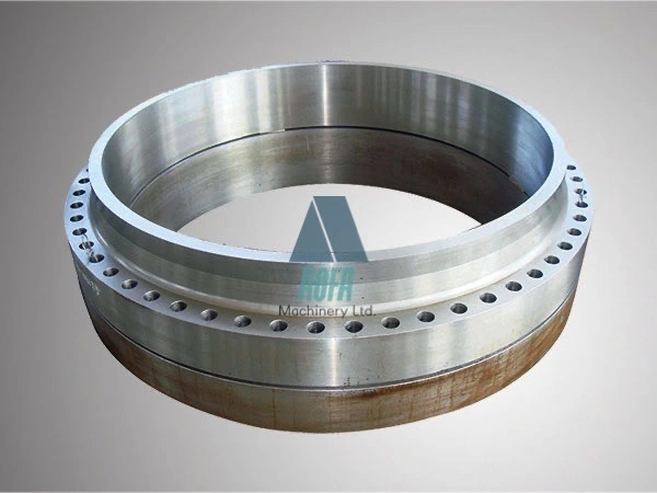 Pipe Fitting Forged Butt Welding Neck Blind Flange with DIN Standard