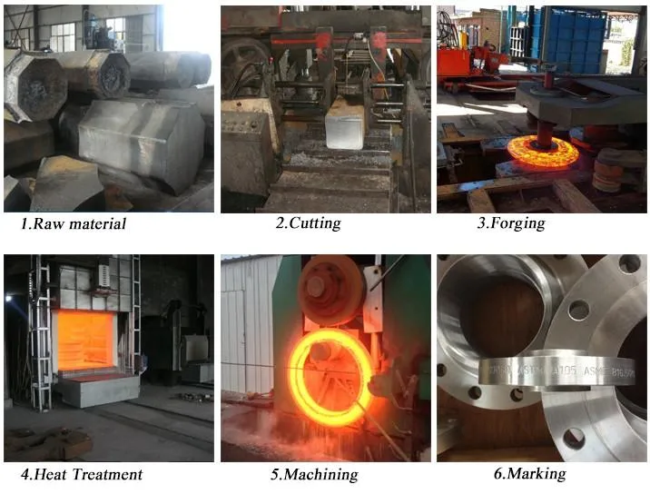 Best Quality DIN/GOST/ASME/En Carbon Steel Stainless Steel Pipe Fitting Forged Welding Neck Flange Manufacturer