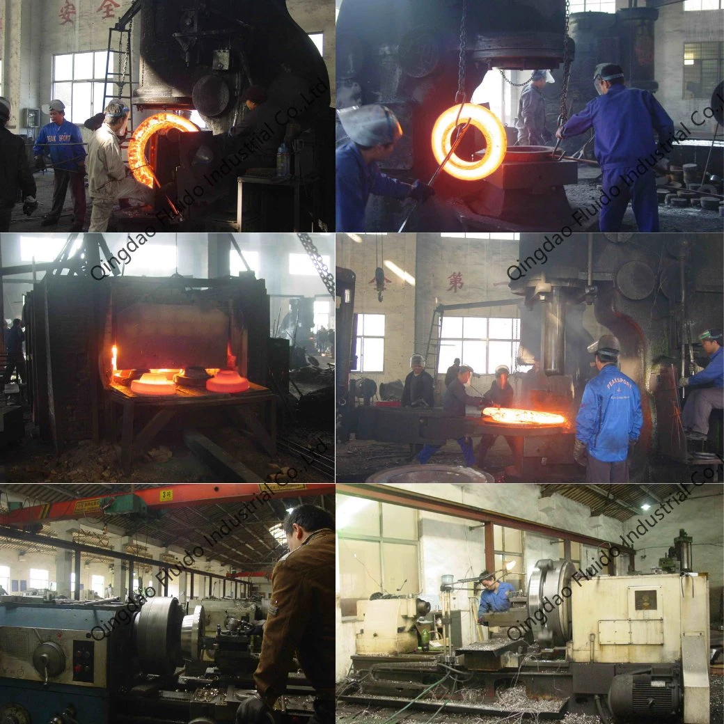 ANSI DIN JIS BS En Standard Stainless Steel Welding Neck Flange as Construction Material