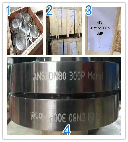 ASTM/DIN/BS4504/GOST/SABS/JIS/En Forged Steel Welding Neck Wn Flanges
