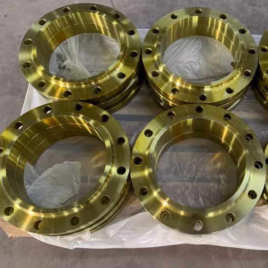 ANSI B16.5 Pn10 RF Carbon Steel A105 Th Flange for Plant Projects Use Stainless Steel Threaded Flange