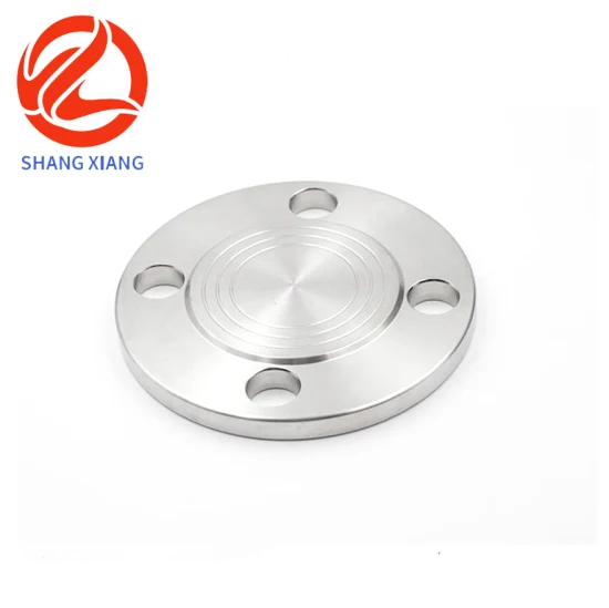 Stainless Steel 304 Pipe Fitting Casting Neck Butt Welding Flange