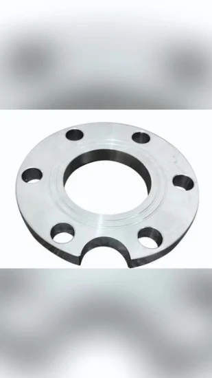 DIN F304 Forged Stainless Steel Welding Neck Flange