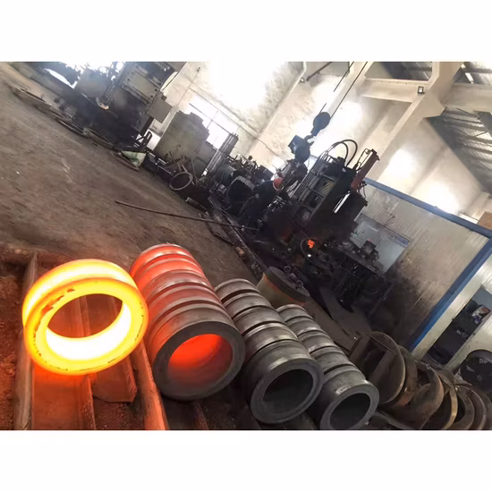ANSI/DIN/En1092-1 Forged Carbon/Stainless Steel Pn10/16 Welding Neck/Blind/Slip on/Lap Joint/Flat Plate/Socket RF/FF Pipe Flanges