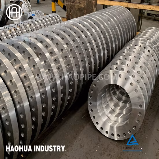ANSI/DIN/En Forged Carbon/Stainless Steel Welding Neck/Blind/Slip on/Lap Joint/Flat Plate/Socket RF/FF Pipe Flanges