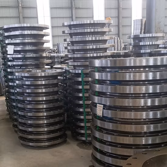 China Products/Suppliers. ANSI/DIN/GOST/En RF FF A105 304L 316L Weld Neck/Slip on/Blind Forged Steel Pipe Flange China Manufacturer
