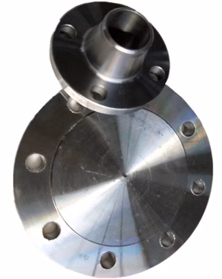 ANSI/DIN/GB Welding Neck Flange Stainless Steel Pipe Blank Flange