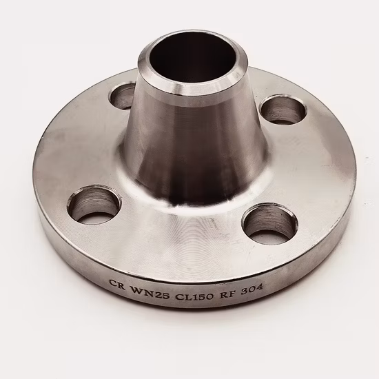 Ss 304L 316L Welding Neck Flange Slip on Flange Stainless Steel Pipe Fittings Flange